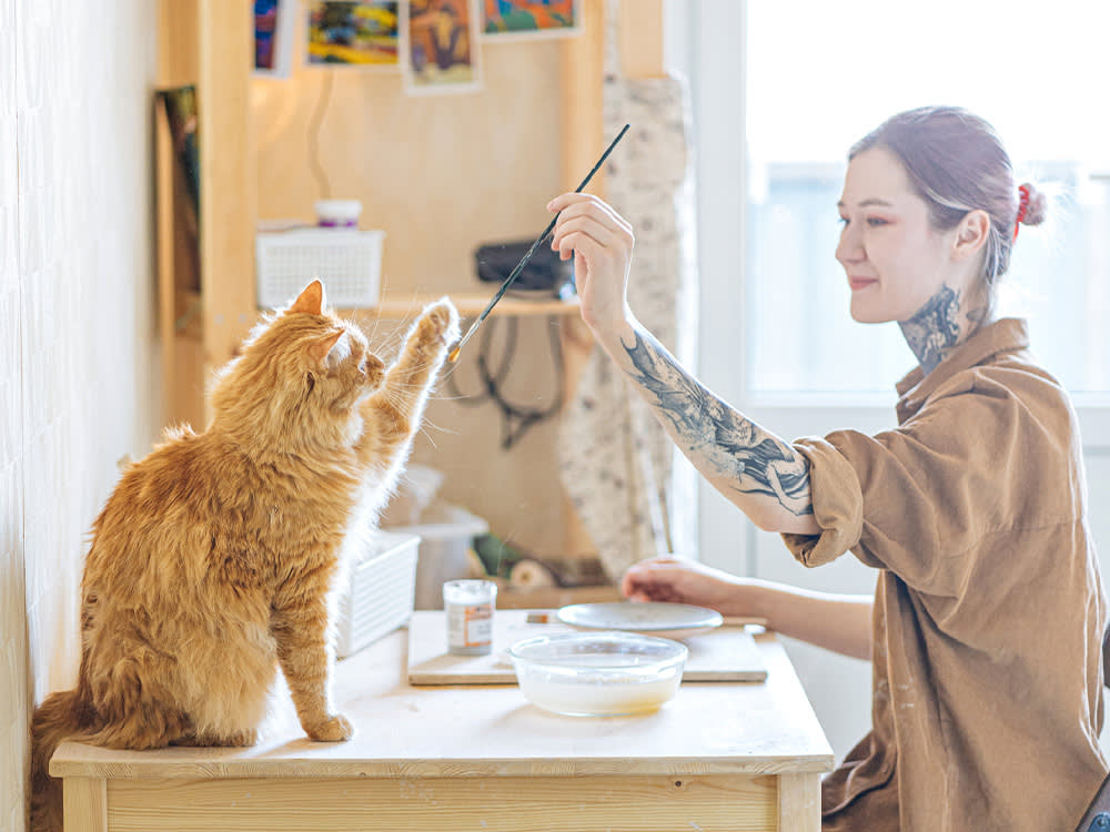 cat playing with woman as a sign of imprinting