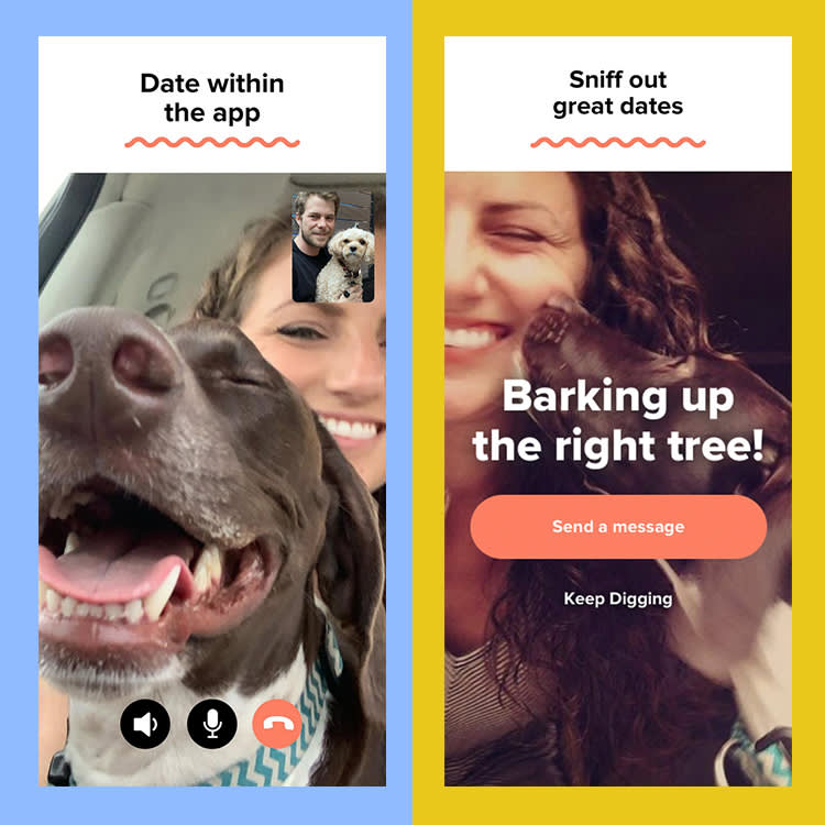 dog dating app dashboard