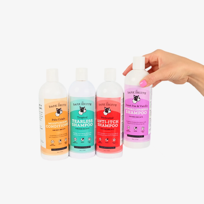 colorful shampoo bottles