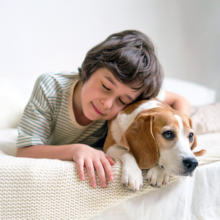 Child cuddling his dog in bed at home.
