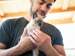 Man holds small kitten in his hands.