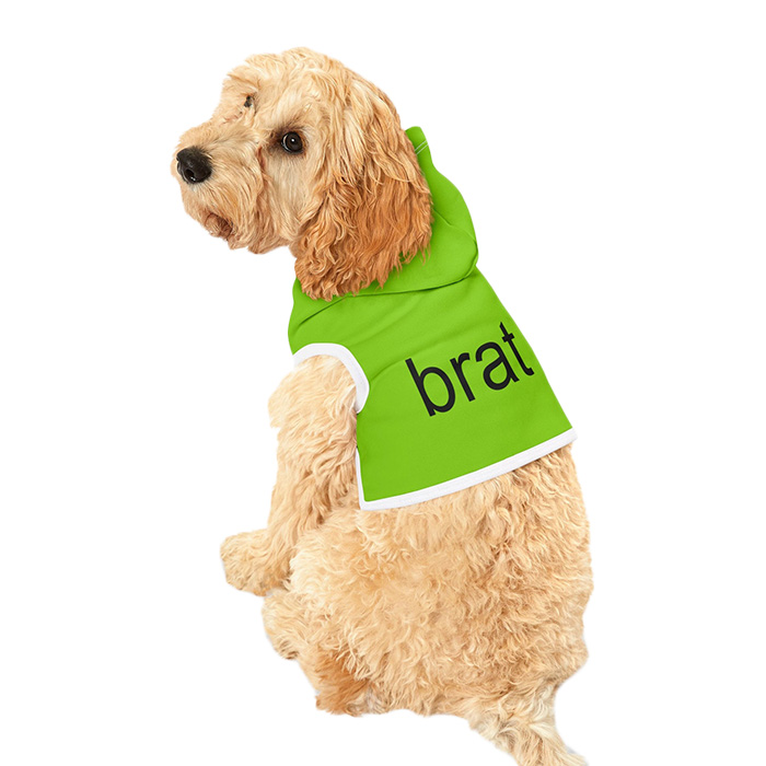 Apparel Brat Charli XCX Cat Dog Pet Hoodie in neon green