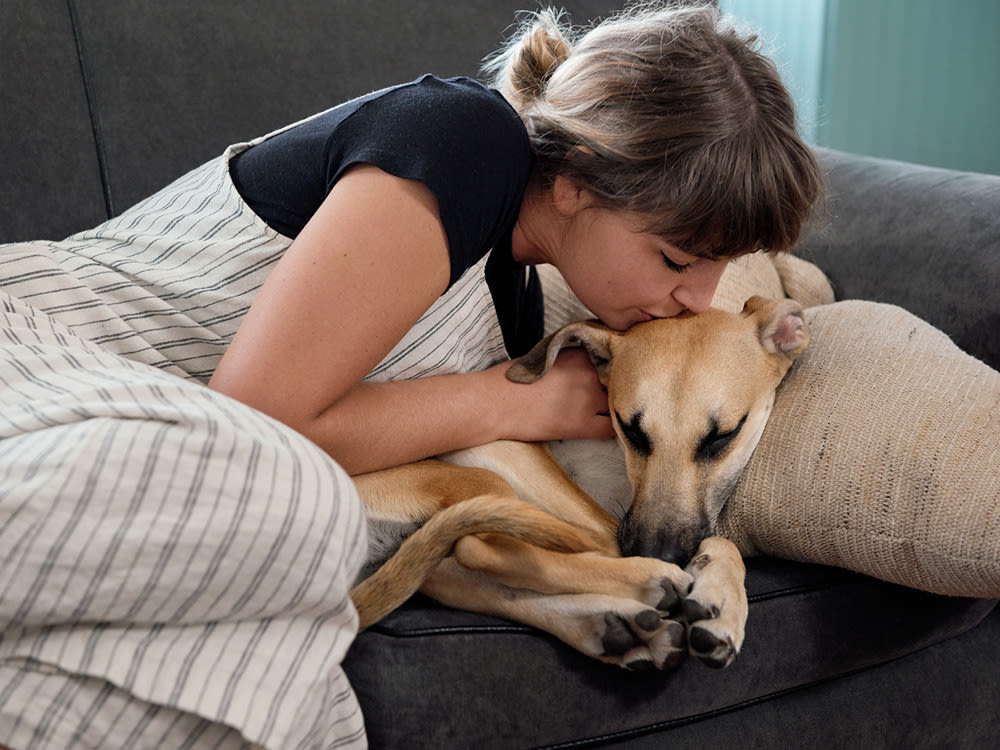 A woman kissing her dog on a couch. 