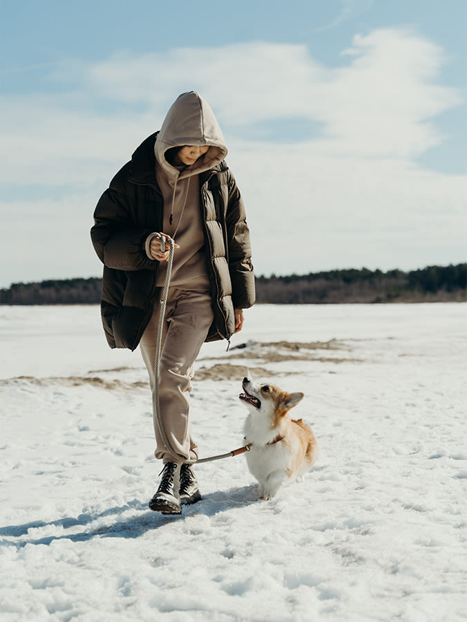 woman and corgi dog walking through snow