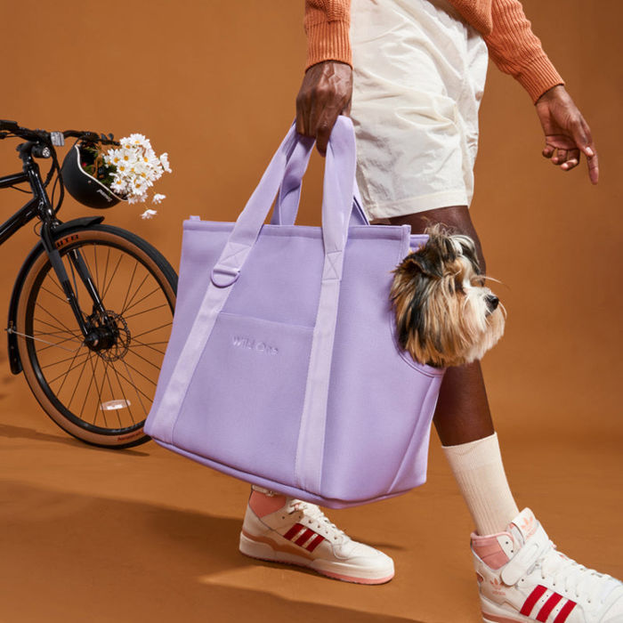 A man carrying a dog in a purple dog carrier tote. 