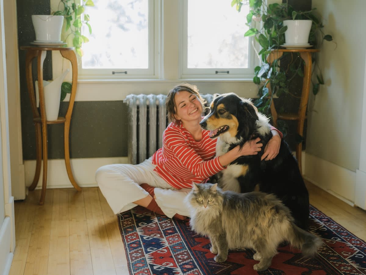 a picture of a young woman sitting on a rug hugging a long haired dog and sitting next to a fluffy cat