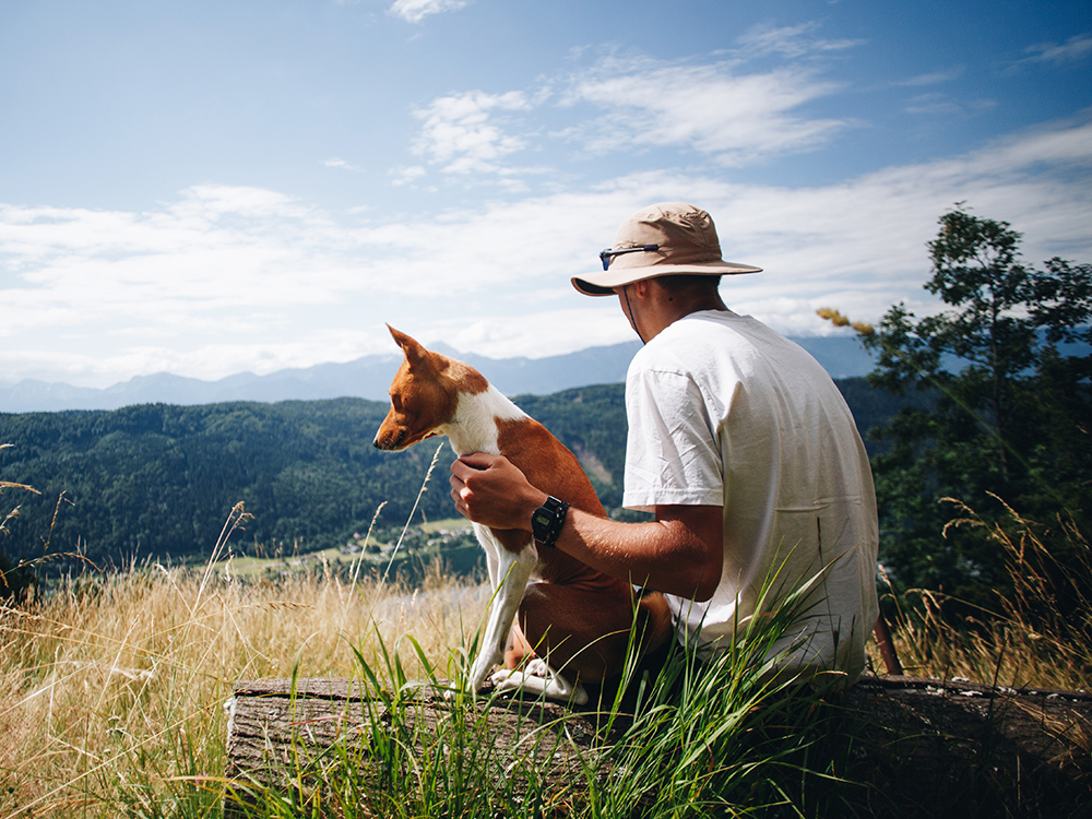 Are Dog Food Bags Recyclable Here Are 3 Ways to Recycle Your Pet