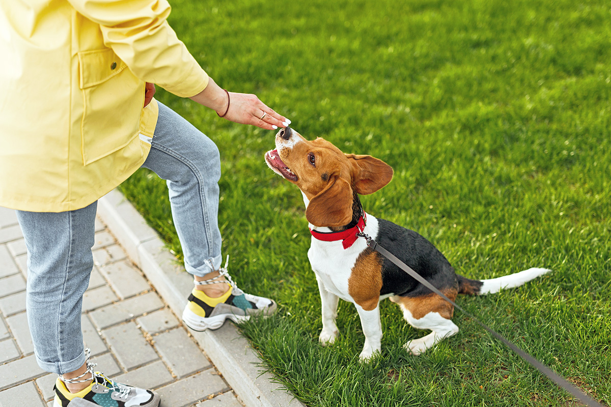  a person in a yellow jacket reaches out their hand 