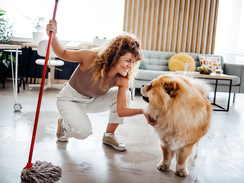 Woman and her dog mopping on the floor of a room during housework.
