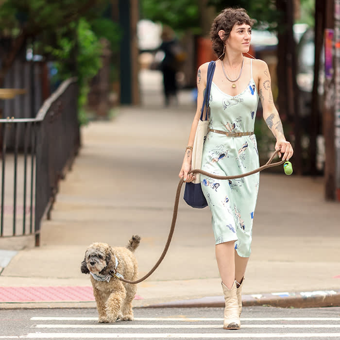 a person in a long blue dress and their brown dog with a matching bandana