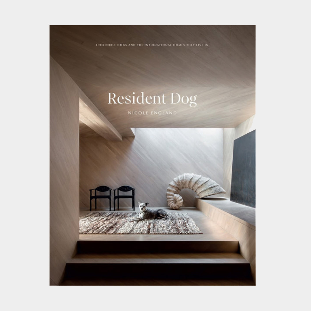 cover of book with dog laying down