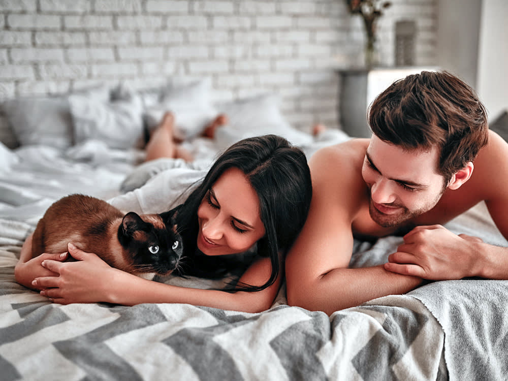 Young couple lying in bed with blue-eyed cat.