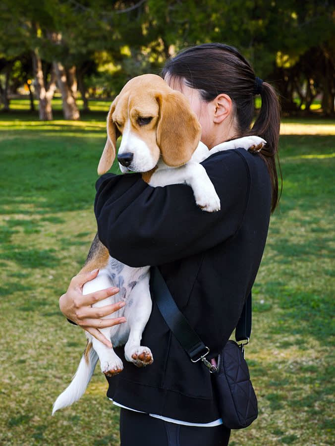 Woman holding her beagle outside in the grass.