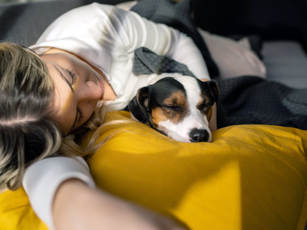 Beautiful woman sleeping with her pet jack russell terrier dog on sofa in living room at home.

