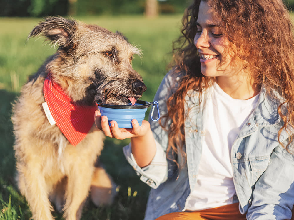 Woman feeding her dog water outside.