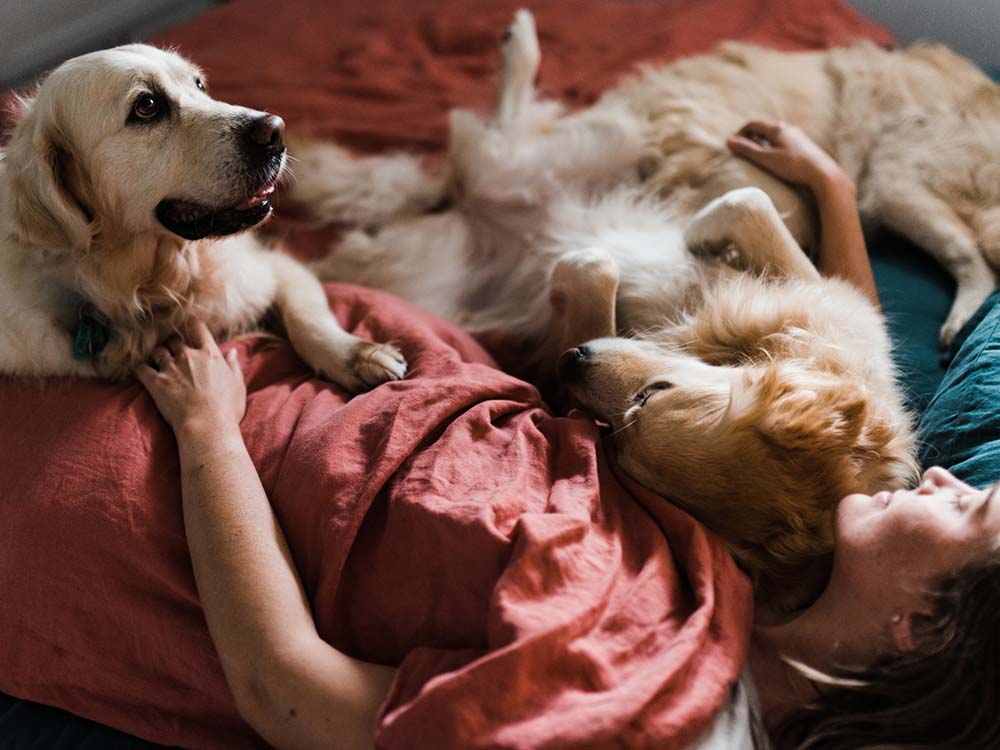 13 Scientific Benefits of Sleeping With Your Dog · The Wildest