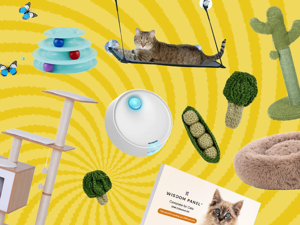 Collage of cat products on a yellow swirl background