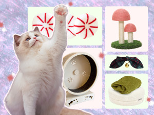 a white cat in front of a collage of products: peppermint toys, a mushroom scratcher, a bow, a catnip bed