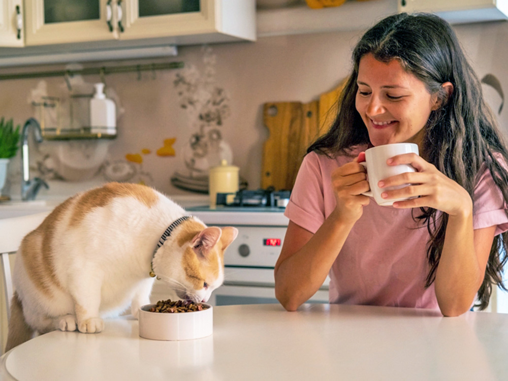Cat eating while woman watches.