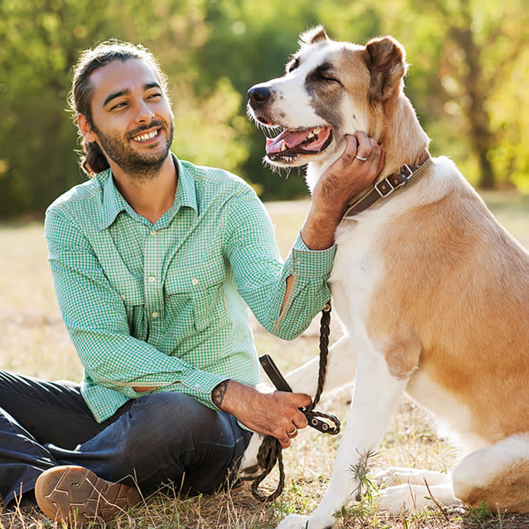 Person petting a smiley looking dog