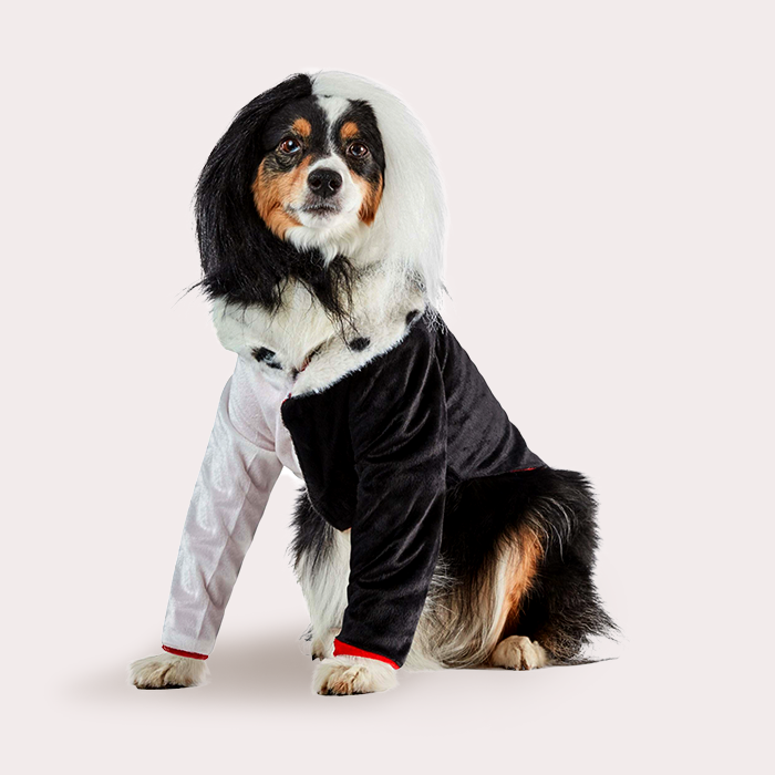 Cruella de Ville costume for dogs