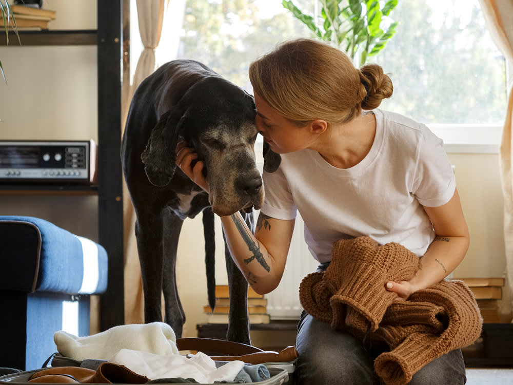 Young woman caressing Great Dane dog on floor at home