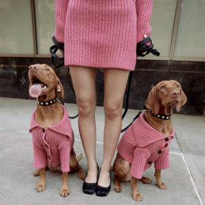 2 dogs in Sandy Liang x Little Beast pink matching outfits