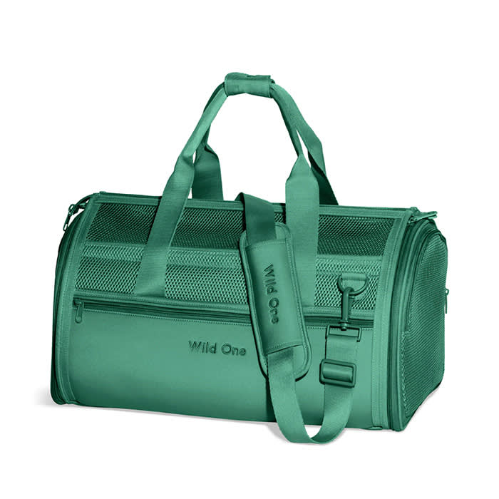 Wild One Air Travel Pet Carrier in green
