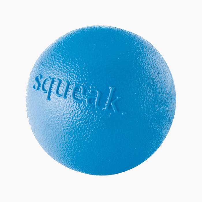 Planet Dog Orbee Squeak 