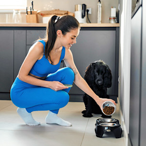 Woman feeding her black dog in the kitchen at home.