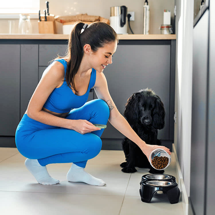 Woman feeding her black dog in the kitchen at home.