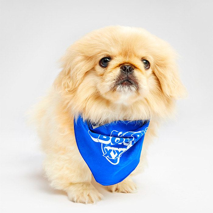 Smoosh Puppy Bowl 2025