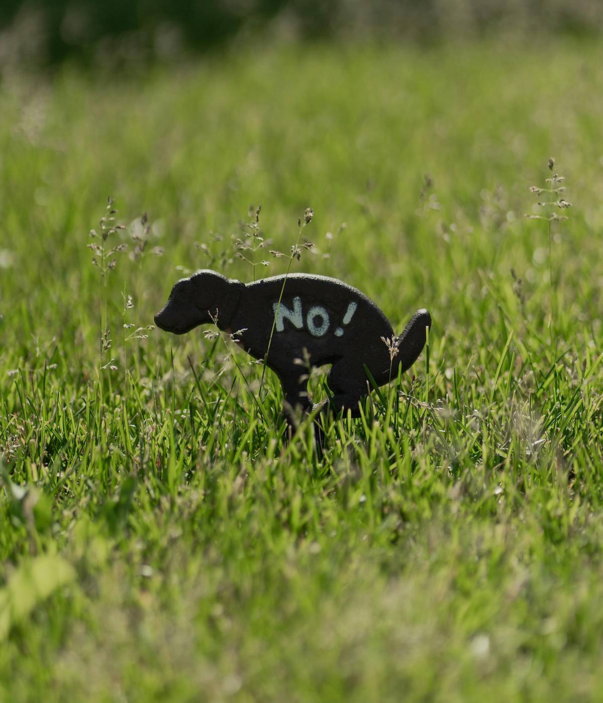 A no dog poop sign in the Grass