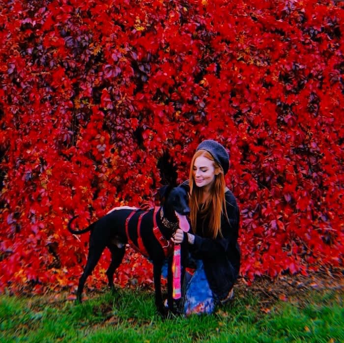 a woman in a beret with a black greyhound against a red leafy backdrop