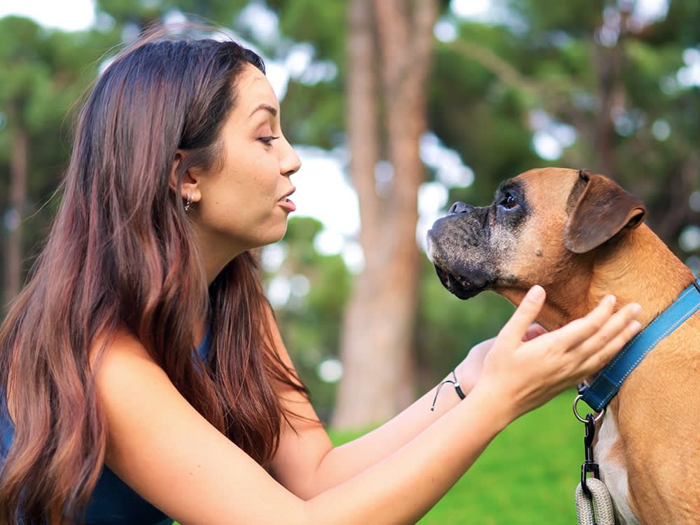 woman holding her dog's face in her hands and talking to them