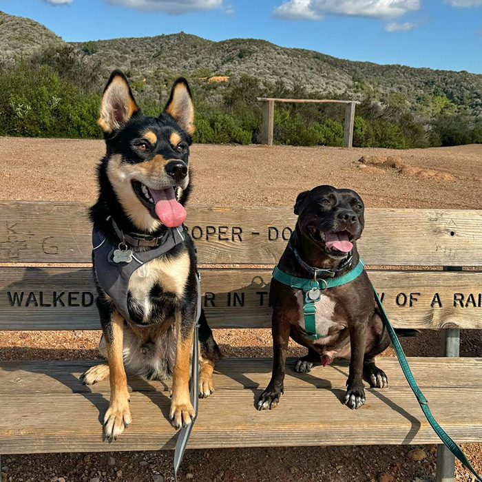 Will Rogers State Historic Park