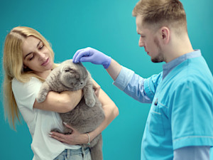 Woman holding her cat and speaking to her vet.