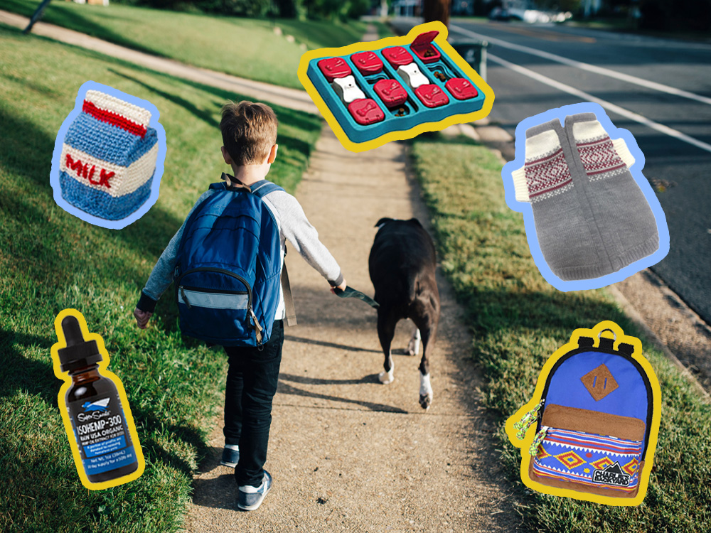 a child with a backpack walking a dog, a collage of products over the image: a sweater, a backpack, a milk toy, a puzzle toy, calming supplements 