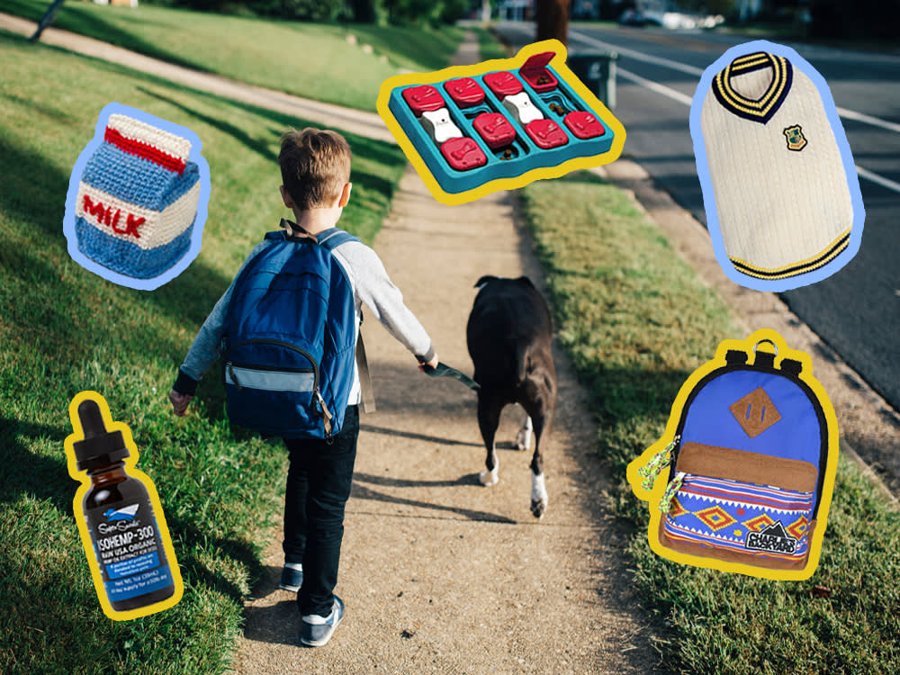 a child with a backpack walking a dog, a collage of products over the image: a sweater, a backpack, a milk toy, a puzzle toy, calming supplements 
