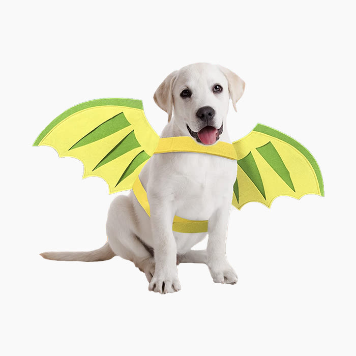 dog costume with yellow and green wings