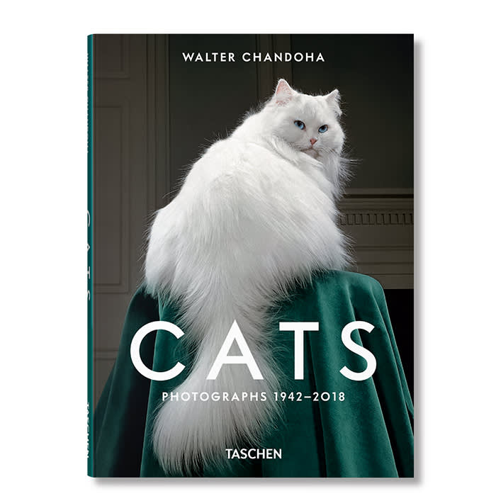 Cats by Walter Chandoha book