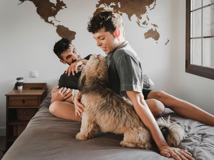 Same sex couple with their dog lying on the bed laughing at his farts