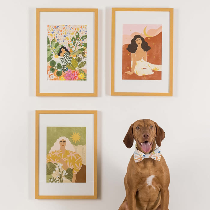 dog with paintings