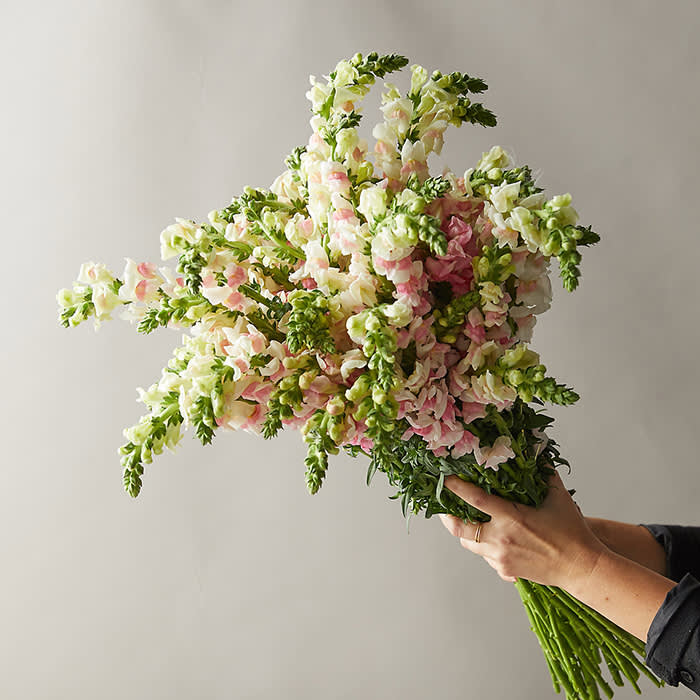 Terrain Fresh Snapdragon Bouquet