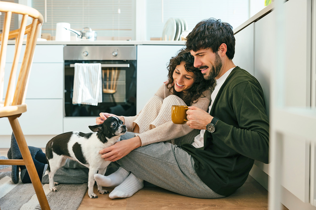 two people pet a small black and white dog