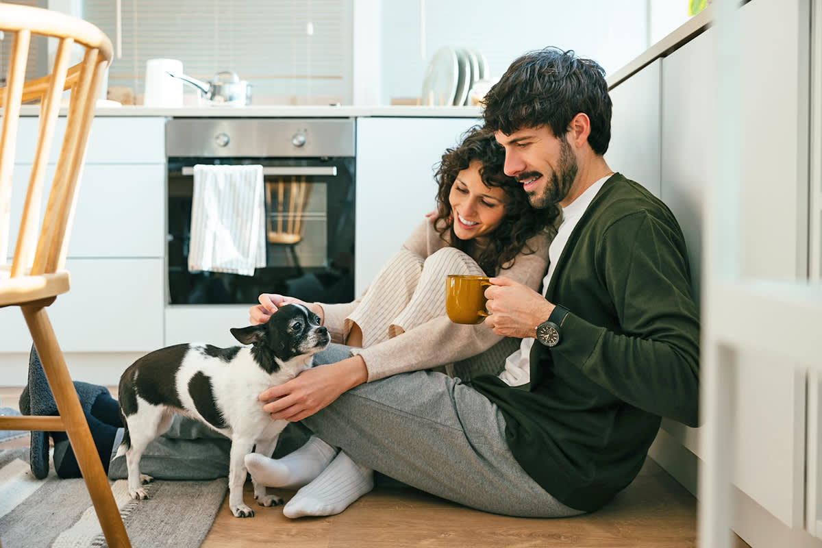 two people pet a small black and white dog