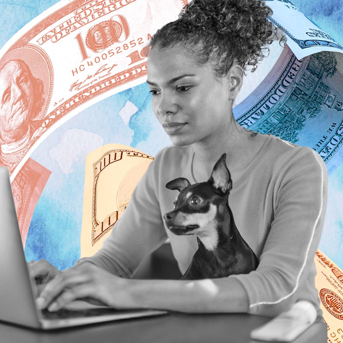 a person on a computer with a dog