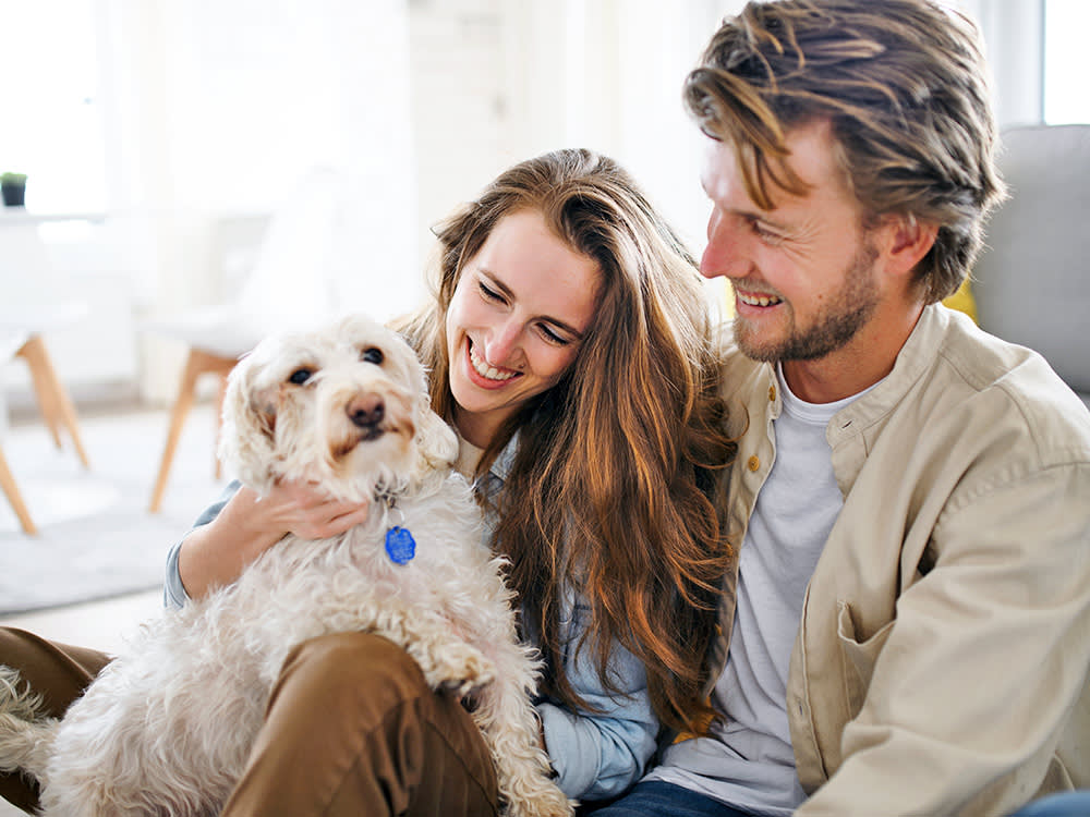 Couple playing with their white dog at home.