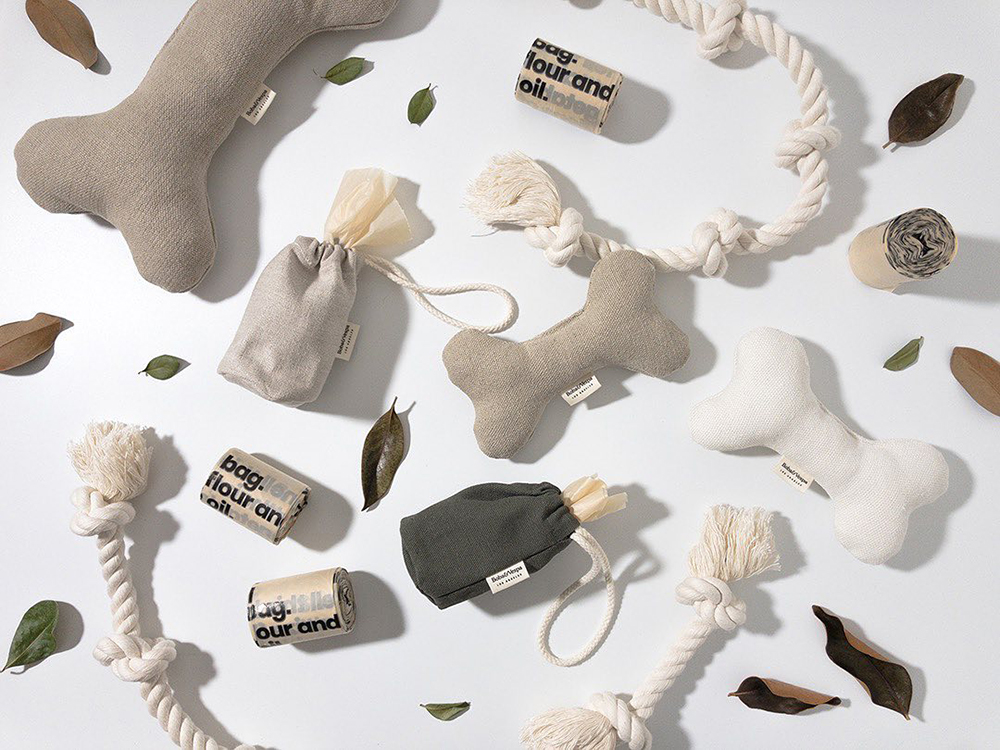 dog toys on plain background