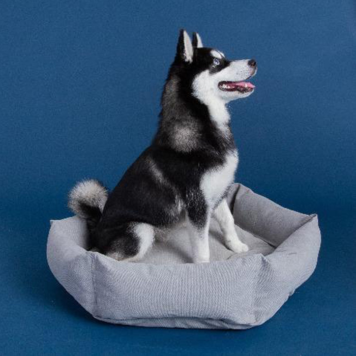 Velvet Hippo Canvas Hex Cushion